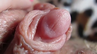 Intense Zoom-In On My Throbbing Clitoris Head